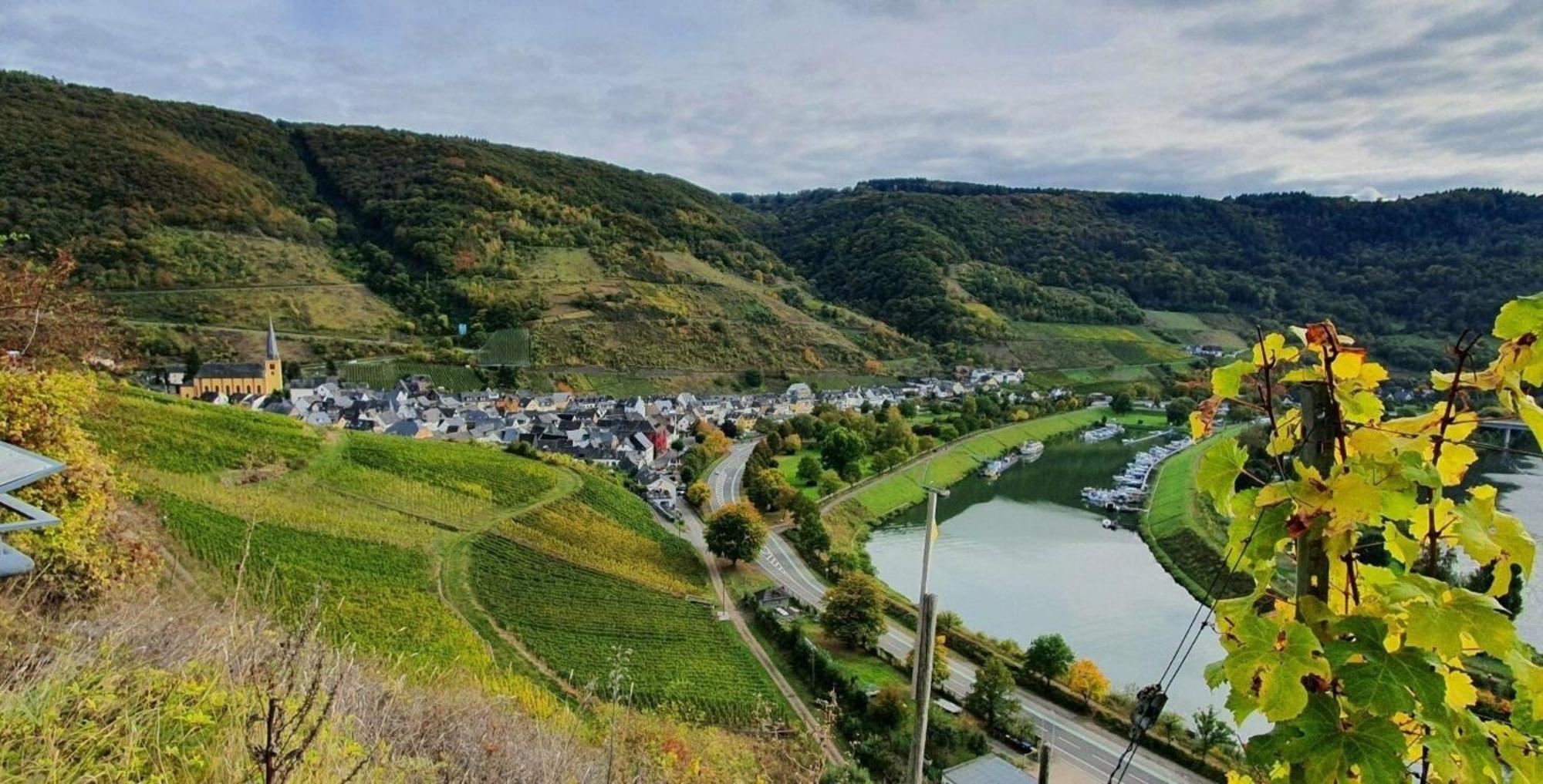Ferienwohnung An Der Mosel, Romeo เซนไฮม์ ภายนอก รูปภาพ