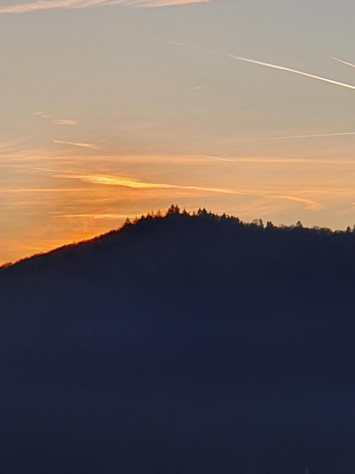 Ferienwohnung An Der Mosel, Romeo เซนไฮม์ ภายนอก รูปภาพ