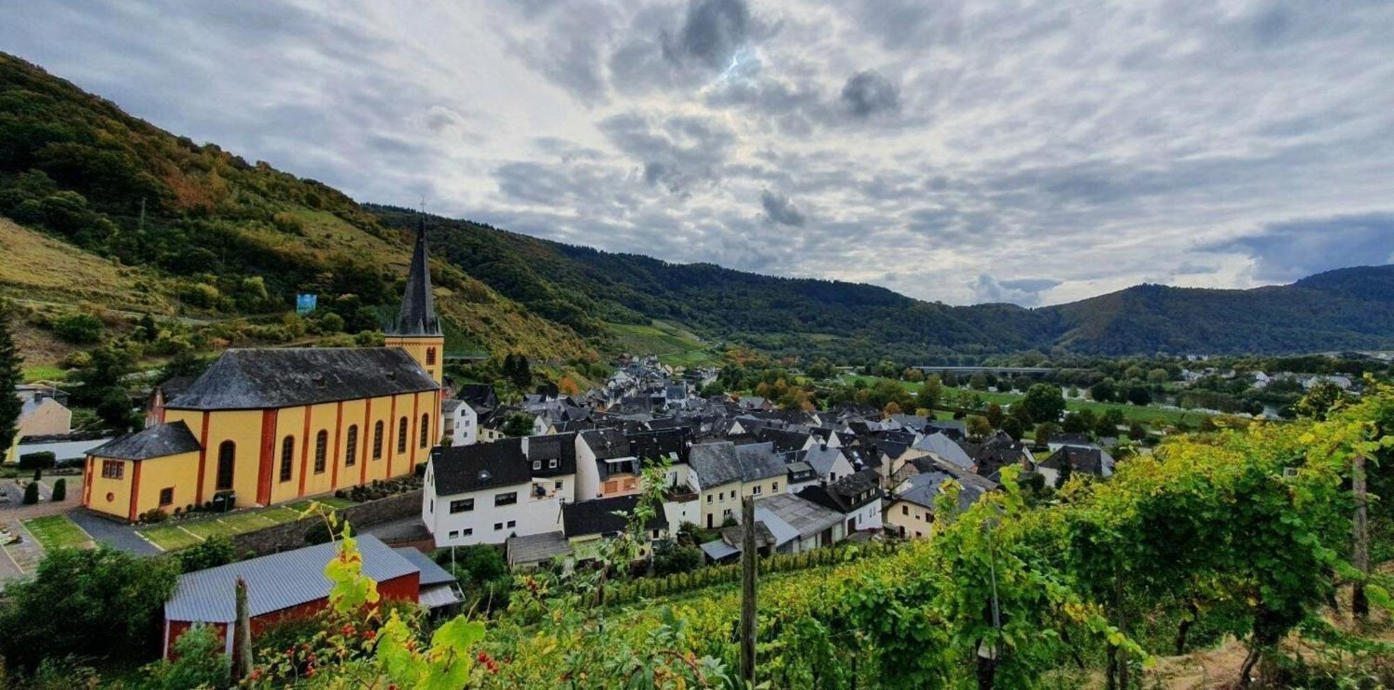 Ferienwohnung An Der Mosel, Romeo เซนไฮม์ ภายนอก รูปภาพ